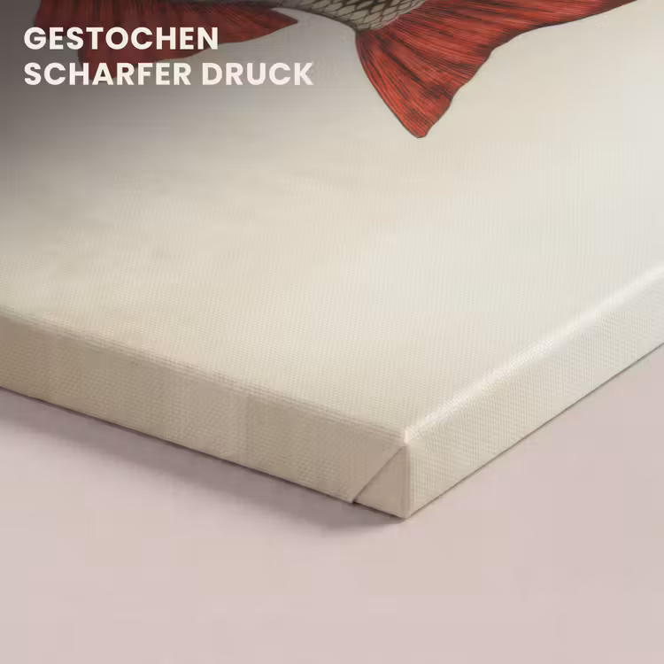 Schubben - Rood - Vis - Vinnen canvas 2cm klein -uniquesellingpoint_afwerking-onlywow_DE