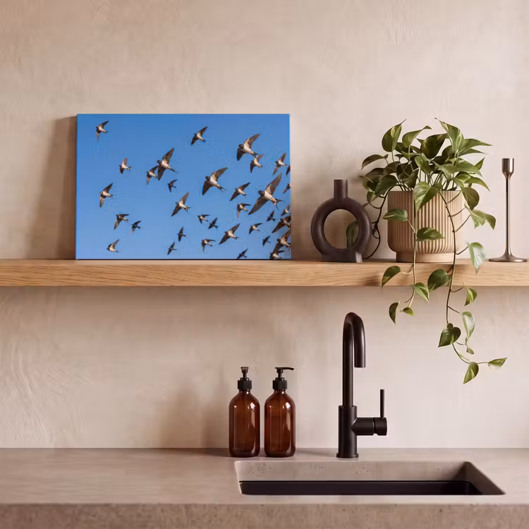 Zwaluwen - Vliegen - Blauw canvas 2cm klein -sfeer3