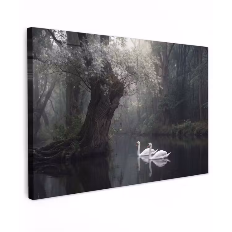 Zwanen - Rivier - Bos canvas 2cm klein -z3d