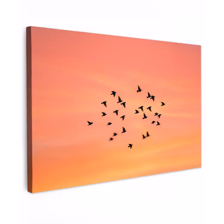 Zwerm - Vogels - Oranje canvas 2cm klein -z3d