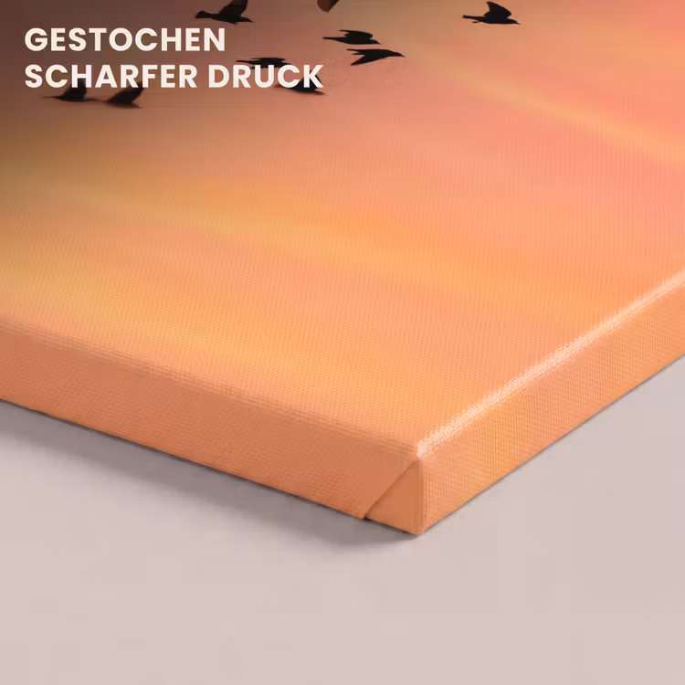 Zwerm - Vogels - Oranje canvas 2cm klein -closeup_print_DE