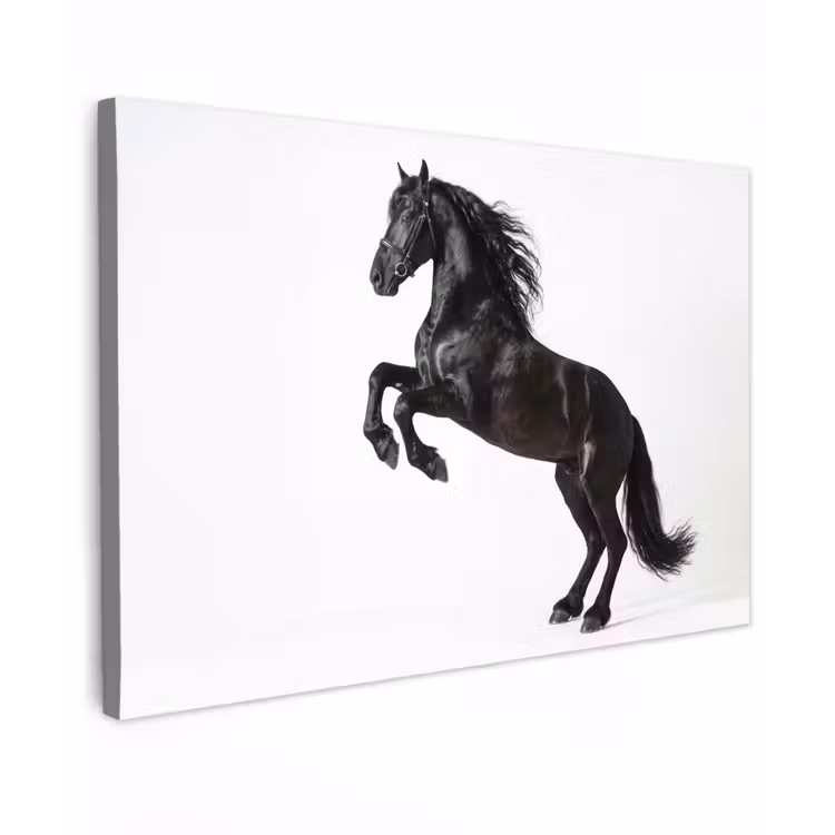 Zwart - Paard - Portret canvas 2cm klein -z3d