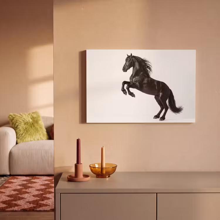 Zwart - Paard - Portret canvas 2cm klein -sfeer1
