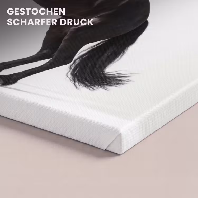 Zwart - Paard - Portret canvas 2cm klein -uniquesellingpoint_afwerking-onlywow_DE
