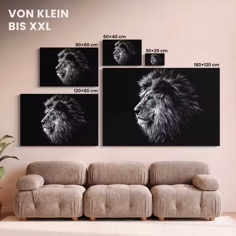 Zwart Wit - Leeuw - Kop - Dieren canvas 2cm klein -Xsfeer8_DE