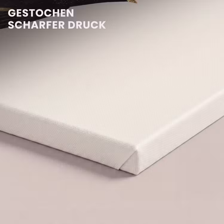 Zwarte zwaluw - Gouden accenten - Lichte achtergrond canvas 2cm klein -closeup_print_DE