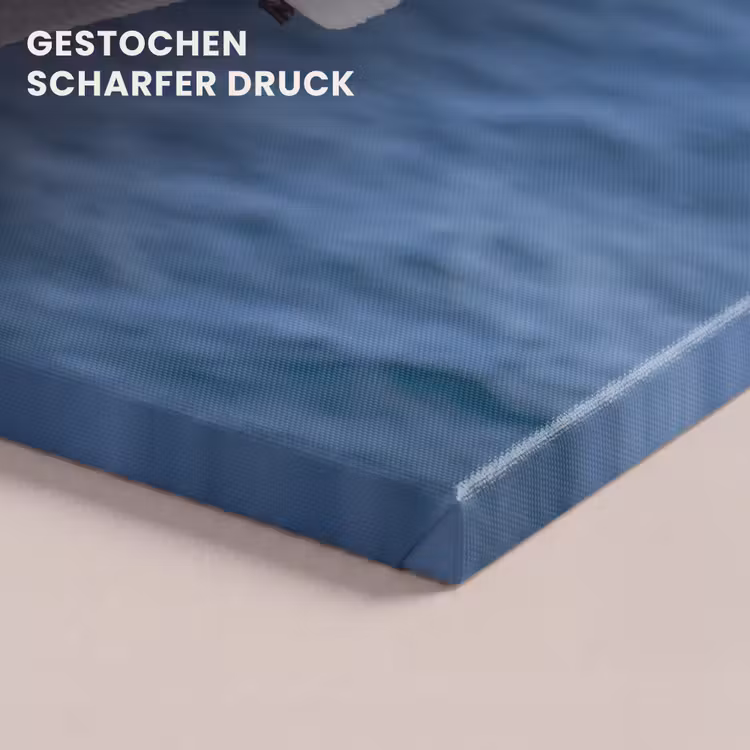 Zeemeeuw - Oceaan - Blauw canvas 2cm klein -closeup_print_DE