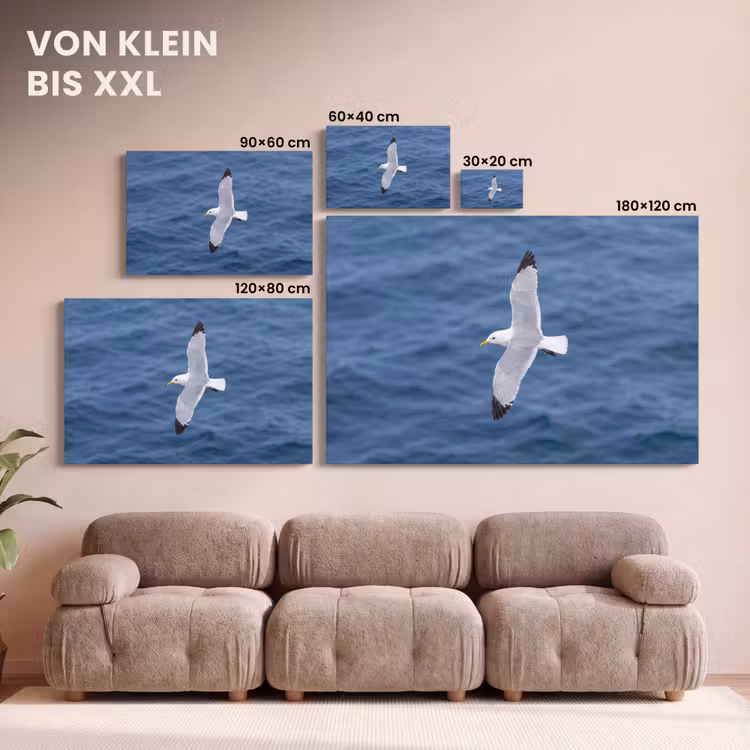 Zeemeeuw - Oceaan - Blauw canvas 2cm klein -Xsfeer8_DE