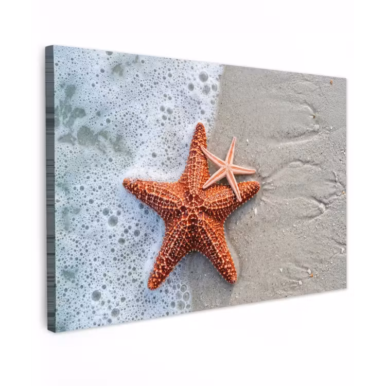 Zeester - Strand - Zee canvas 2cm klein -z3d