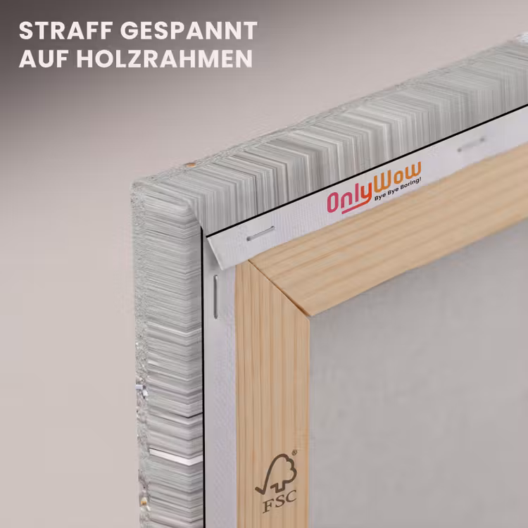 Zeester - Strand - Zee canvas 2cm klein -uniquesellingpoint_afwerking-onlywow_DE
