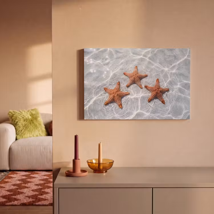 Zeesterren - Water - Helder canvas 2cm klein -sfeer1