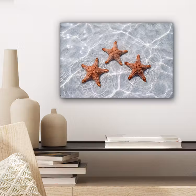 Zeesterren - Water - Helder canvas 2cm klein -sfeer6