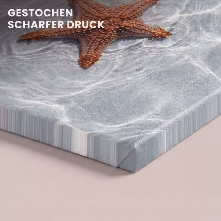 Zeesterren - Water - Helder canvas 2cm klein -closeup_print_DE