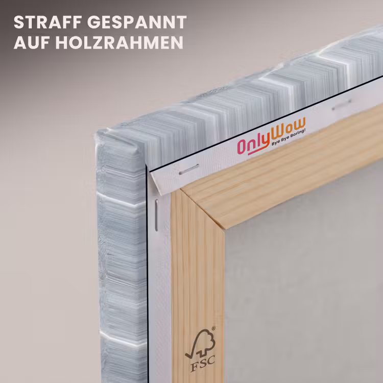 Zeesterren - Water - Helder canvas 2cm klein -uniquesellingpoint_afwerking-onlywow_DE