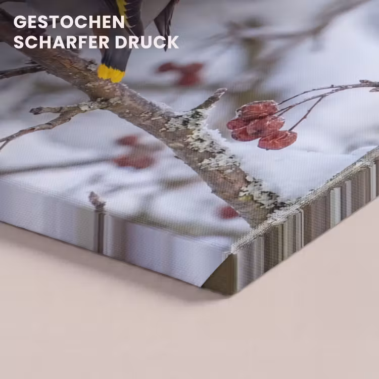 Pestvogel - Bessen - Winter - Natuur canvas 2cm klein -uniquesellingpoint_afwerking-onlywow_DE