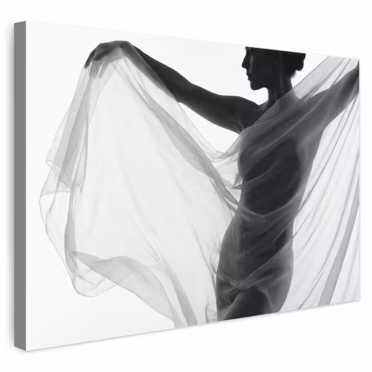 Silhouet - Sluier - Vormen - Zwart - Wit - Sensueel canvas 2cm klein -3d