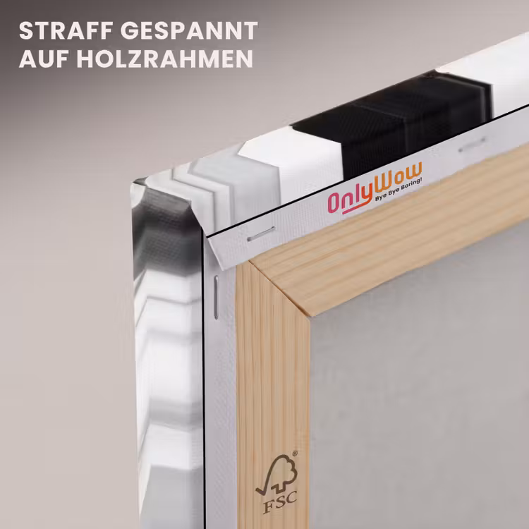 Silhouet - Sluier - Vormen - Zwart - Wit - Sensueel canvas 2cm klein -uniquesellingpoint_afwerking-onlywow_DE