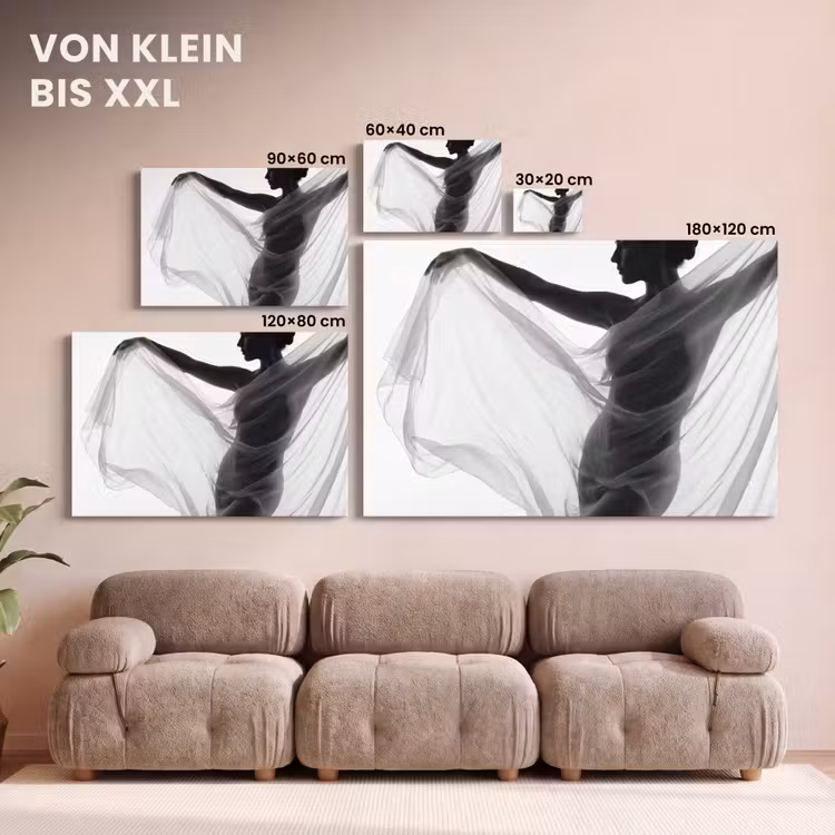 Silhouet - Sluier - Vormen - Zwart - Wit - Sensueel canvas 2cm klein -Xsfeer8_DE