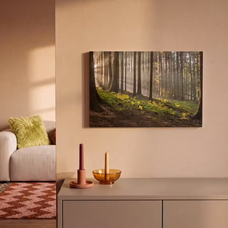Zon - Takken - Bomen - Bos - Natuur canvas 2cm klein -sfeer1