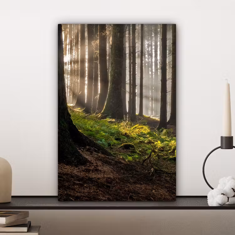 Zon - Takken - Bomen - Bos - Natuur canvas 2cm klein -closeup_print_DE