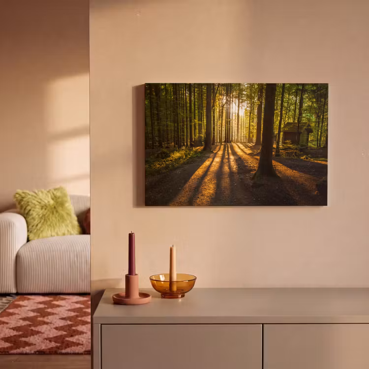 Zon - Bomen - Bos - Landschap - Natuur canvas 2cm klein -sfeer1