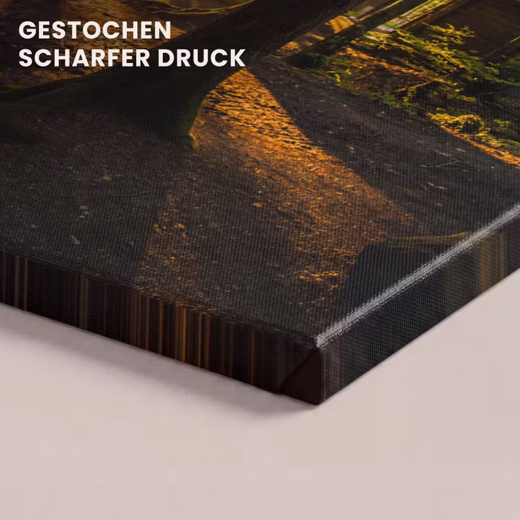 Zon - Bomen - Bos - Landschap - Natuur canvas 2cm klein -closeup_print_DE