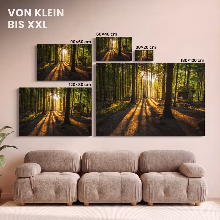 Zon - Bomen - Bos - Landschap - Natuur canvas 2cm klein -Xsfeer8_DE