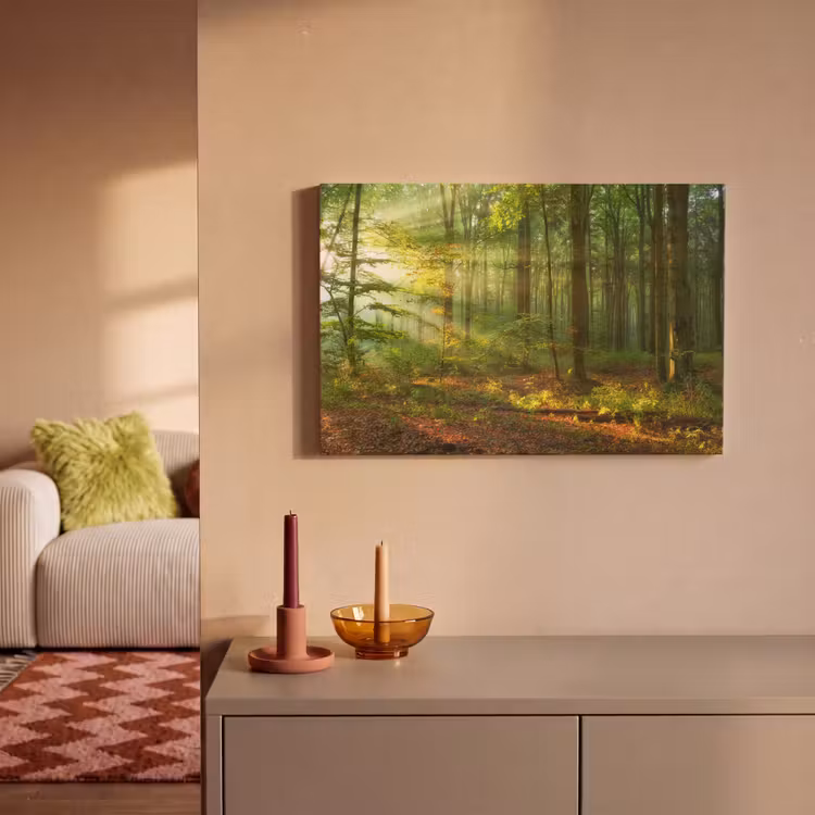 Zon - Bos - Bomen - Natuur - Herfst canvas 2cm klein -sfeer1