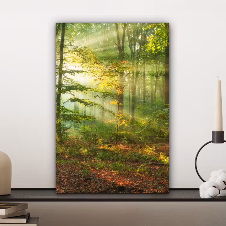 Zon - Bos - Bomen - Natuur - Herfst canvas 2cm klein -closeup_print_DE