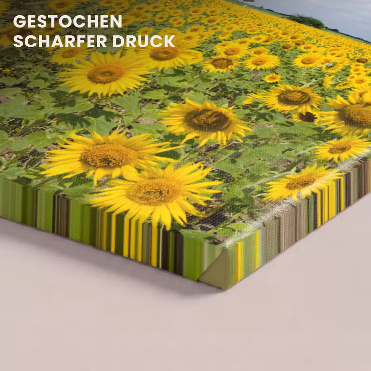 Zonnebloemen - Bloemen - Wolken - Natuur - Geel - Landschap canvas 2cm klein -closeup_print_DE