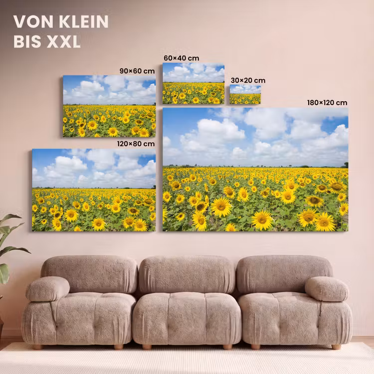 Zonnebloemen - Bloemen - Wolken - Natuur - Geel - Landschap canvas 2cm klein -Xsfeer8_DE