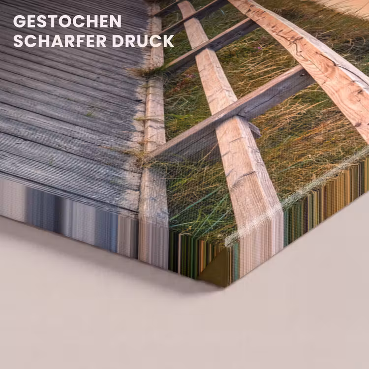 Zonsonderang - Zee - Pad - Gras - Duin - Vogels canvas 2cm klein -closeup_print_DE