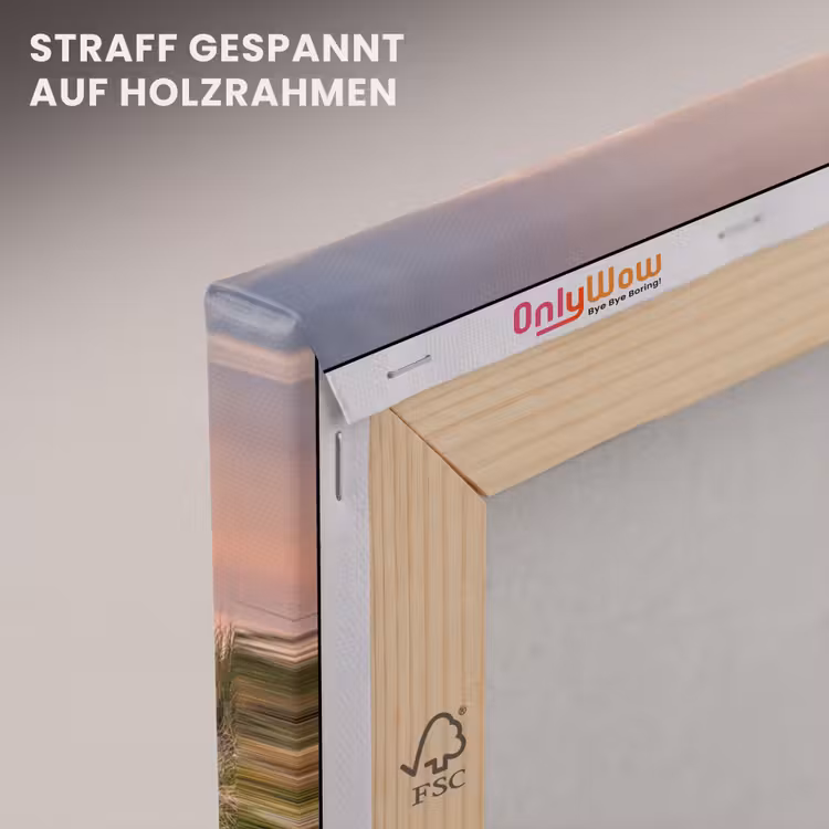 Zonsonderang - Zee - Pad - Gras - Duin - Vogels canvas 2cm klein -uniquesellingpoint_afwerking-onlywow_DE