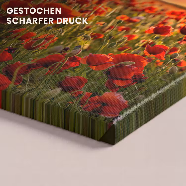 Sonnenuntergang - Mohnblumen - Rot - Blumen - Feld - Natur canvas 2cm klein -closeup_print_DE