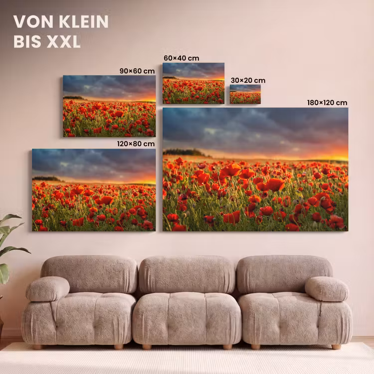 Sonnenuntergang - Mohnblumen - Rot - Blumen - Feld - Natur canvas 2cm klein -Xsfeer8_DE