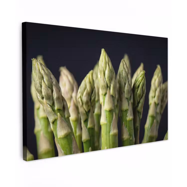 Asperges - Groen - Zwart canvas 2cm klein -z3d