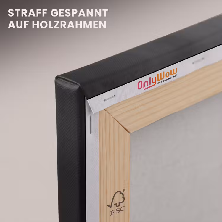 Sphynx - Kat - Dieren - Humor - Spaghetti - Zwart Wit canvas 2cm klein -uniquesellingpoint_afwerking-onlywow_DE