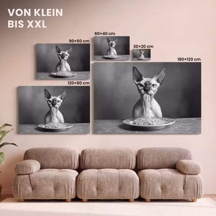 Sphynx - Kat - Dieren - Humor - Spaghetti - Zwart Wit canvas 2cm klein -Xsfeer8_DE