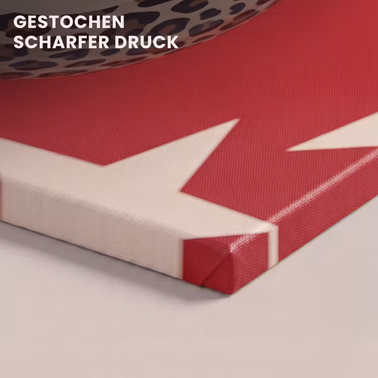 Spel - Dierenprint - Nummer 8 - Modern - Rood canvas 2cm klein -closeup_print_DE