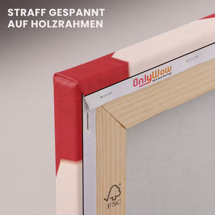 Spel - Dierenprint - Nummer 8 - Modern - Rood canvas 2cm klein -uniquesellingpoint_afwerking-onlywow_DE
