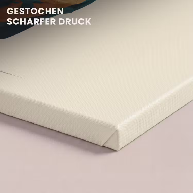 Stekels - Dino - Blauw - Gespierd canvas 2cm klein -closeup_print_DE