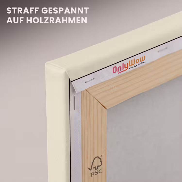 Stekels - Dino - Blauw - Gespierd canvas 2cm klein -uniquesellingpoint_afwerking-onlywow_DE