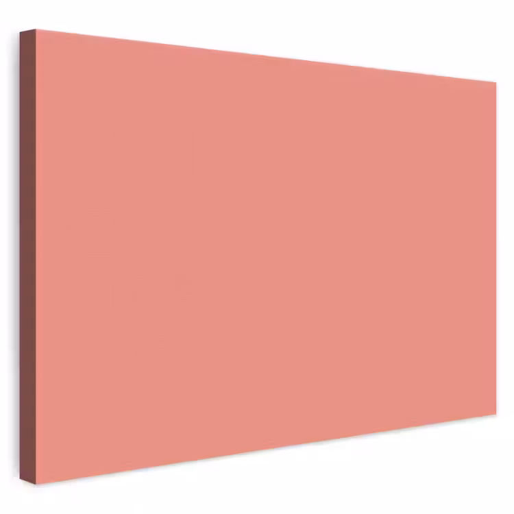 Dusty - Peach - Koraal canvas 2cm klein 34 -3d