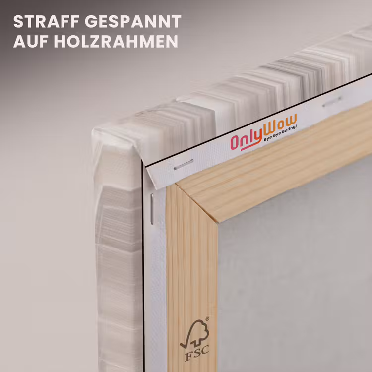 Steen - Textuur - Abstract - Beige - Wit canvas 2cm klein -uniquesellingpoint_afwerking-onlywow_DE