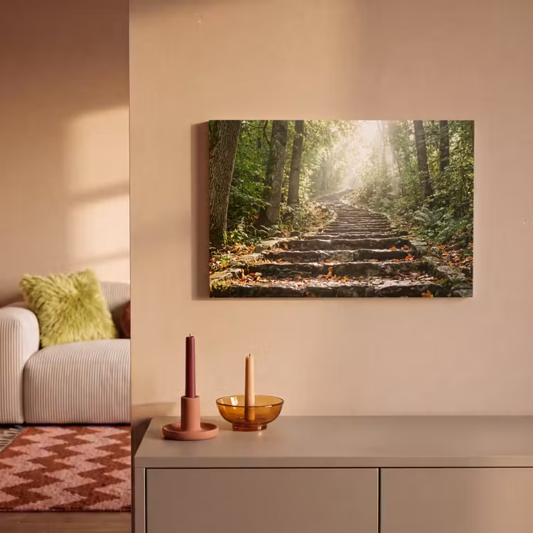 Stenen - Trap - Bos - Natuur canvas 2cm klein -sfeer1