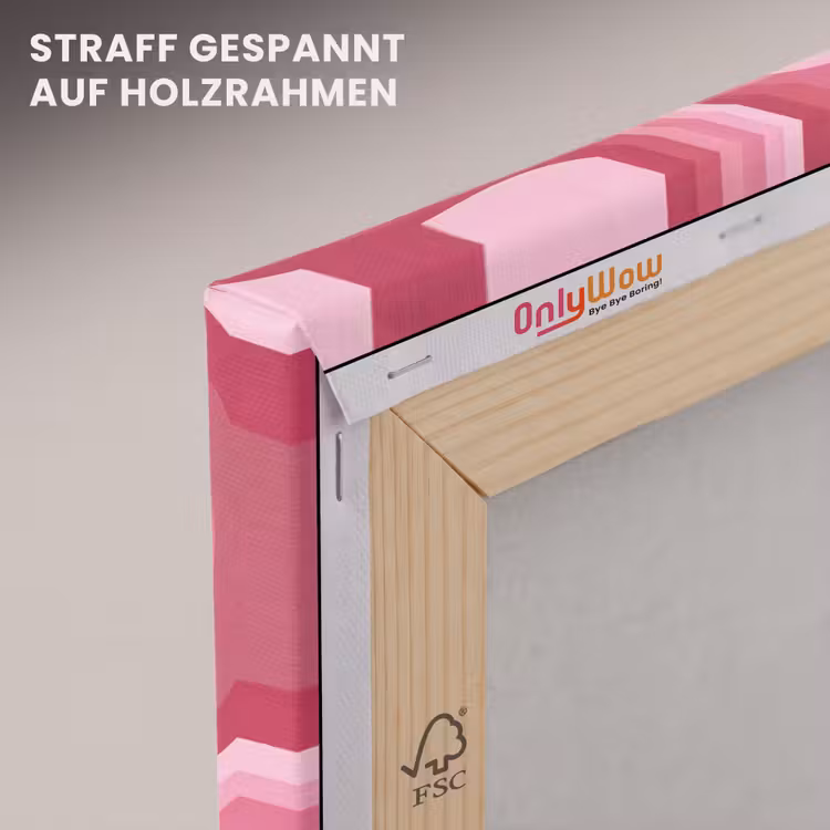 Ster - Golvend - Abstract - Roze canvas 2cm klein -uniquesellingpoint_afwerking-onlywow_DE