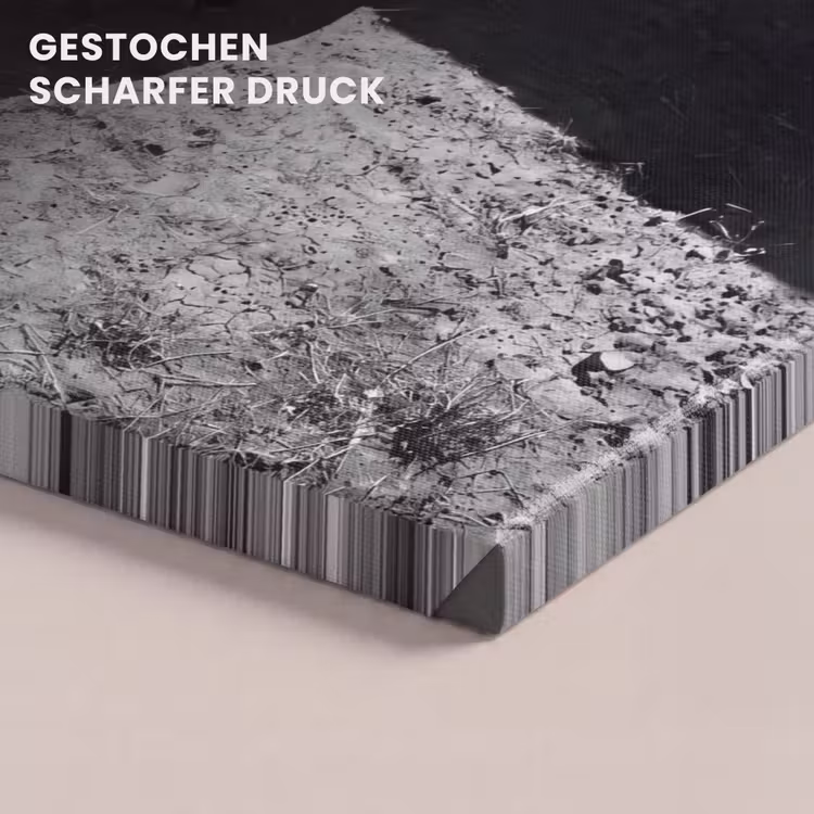 Stier - Schaduw - Dieren - Contrast - Zwart-wit canvas 2cm klein -closeup_print_DE