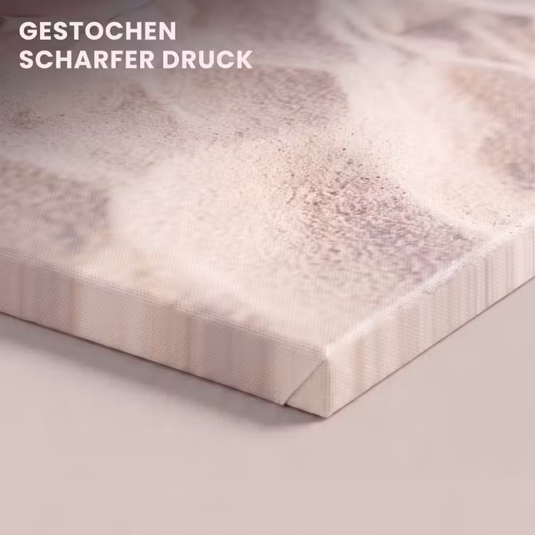 Strand - Schelpen - Zomer - Roze - Decoratie canvas 2cm klein -closeup_print_DE