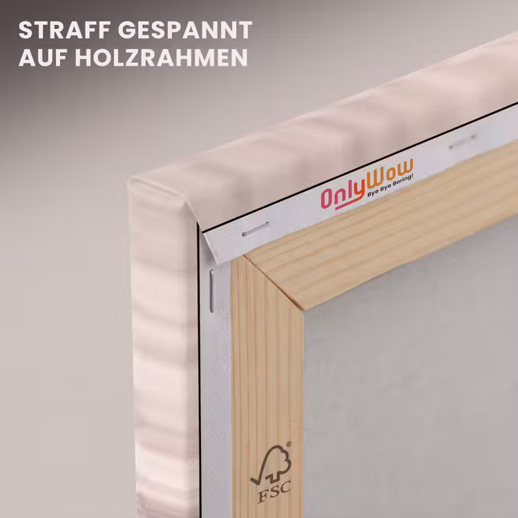 Strand - Schelpen - Zomer - Roze - Decoratie canvas 2cm klein -uniquesellingpoint_afwerking-onlywow_DE