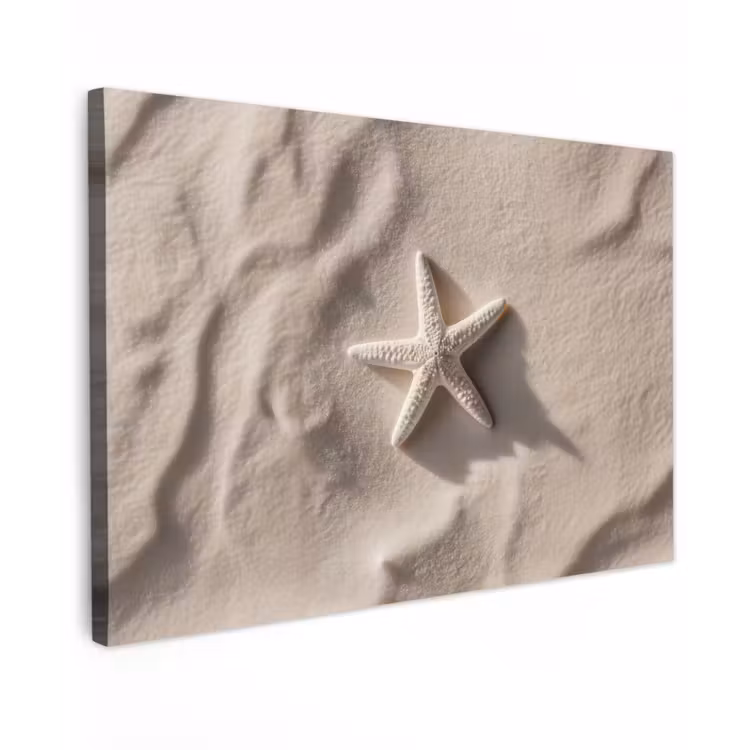 Strand - Zeester - Zand - Beige canvas 2cm klein -z3d